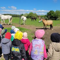 HelloIMG1716408801411